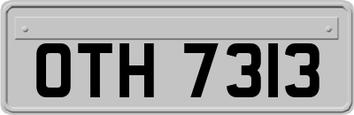 OTH7313