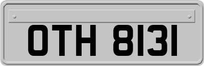 OTH8131