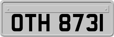 OTH8731