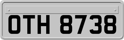 OTH8738