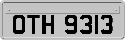 OTH9313