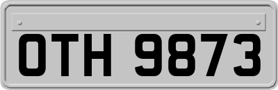 OTH9873