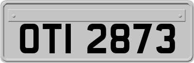 OTI2873