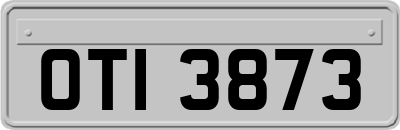 OTI3873