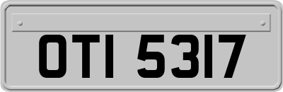 OTI5317