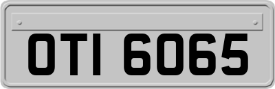 OTI6065