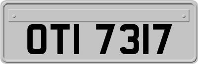 OTI7317