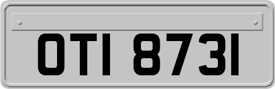 OTI8731