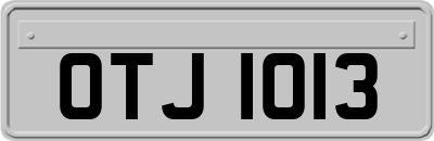 OTJ1013