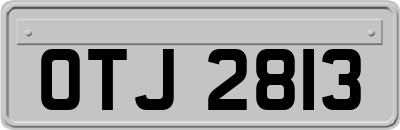 OTJ2813