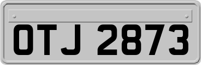 OTJ2873