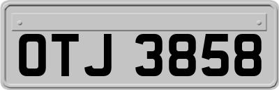 OTJ3858