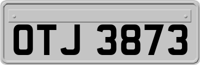 OTJ3873