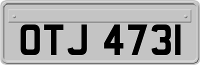 OTJ4731