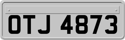 OTJ4873