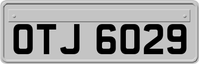 OTJ6029
