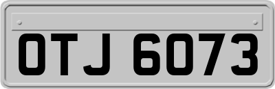 OTJ6073