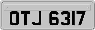 OTJ6317