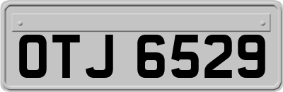 OTJ6529