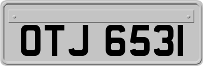 OTJ6531