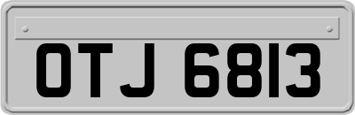 OTJ6813