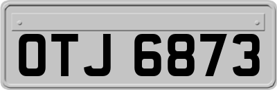 OTJ6873