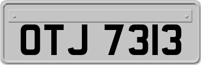 OTJ7313