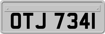 OTJ7341