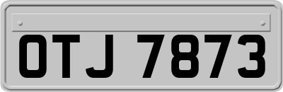 OTJ7873
