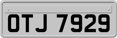 OTJ7929