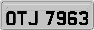 OTJ7963
