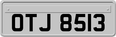 OTJ8513