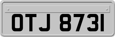 OTJ8731