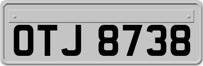 OTJ8738