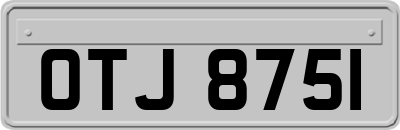 OTJ8751