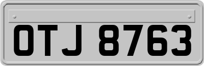 OTJ8763