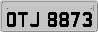 OTJ8873