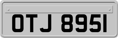 OTJ8951