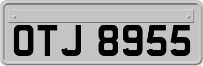 OTJ8955