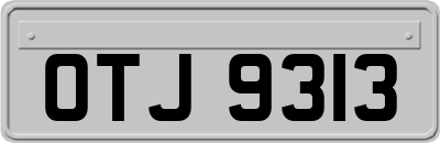 OTJ9313
