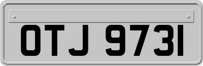 OTJ9731