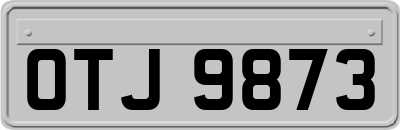 OTJ9873