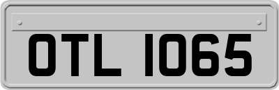OTL1065