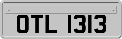 OTL1313