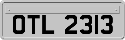 OTL2313