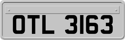 OTL3163