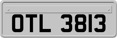 OTL3813