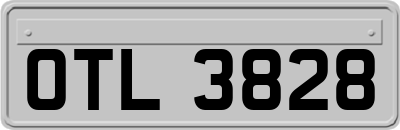 OTL3828