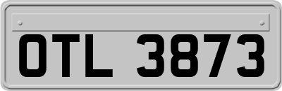 OTL3873