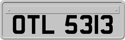 OTL5313